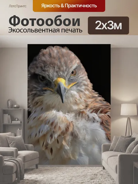 200 × 300 см · Экосольвентная печать