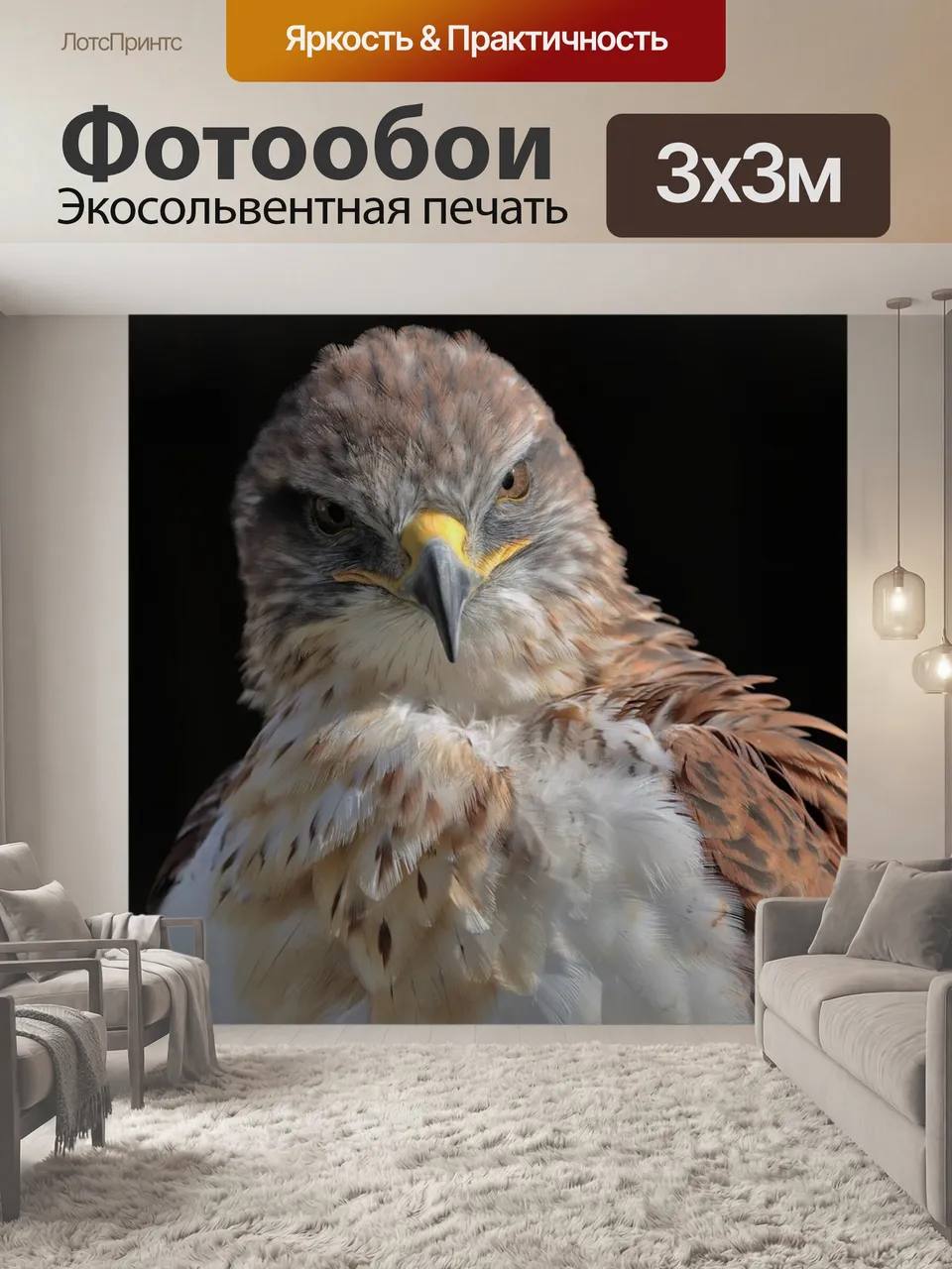 Фотообои Железный ястреб, ястреб, железистый