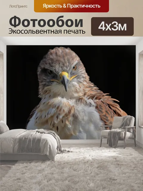 400 × 300 см · Экосольвентная печать