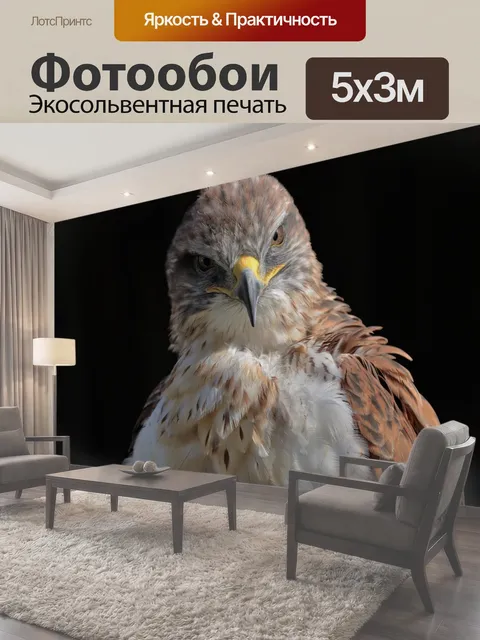 500 × 300 см · Экосольвентная печать
