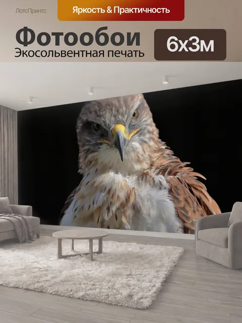 600 × 300 см · Экосольвентная печать