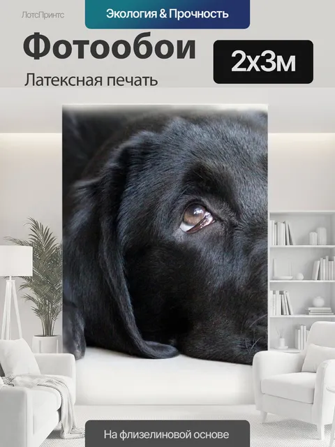 200 × 300 см · Латексная печать