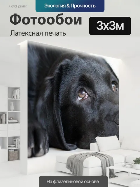300 × 300 см · Латексная печать