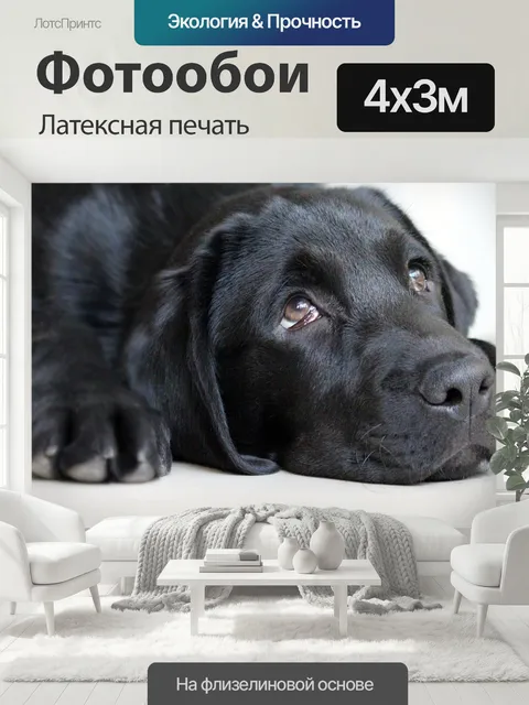 400 × 300 см · Латексная печать