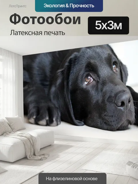 500 × 300 см · Латексная печать