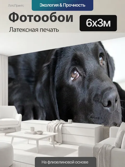 600 × 300 см · Латексная печать