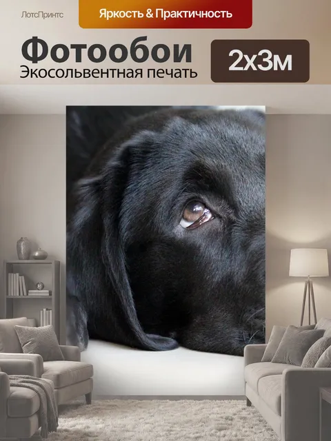 200 × 300 см · Экосольвентная печать