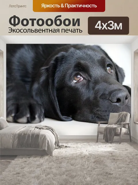 400 × 300 см · Экосольвентная печать