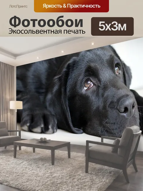 500 × 300 см · Экосольвентная печать