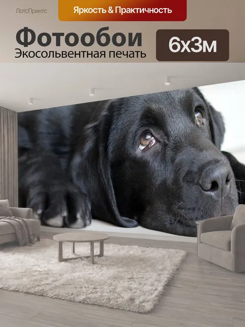 600 × 300 см · Экосольвентная печать