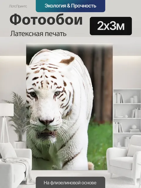 200 × 300 см · Латексная печать
