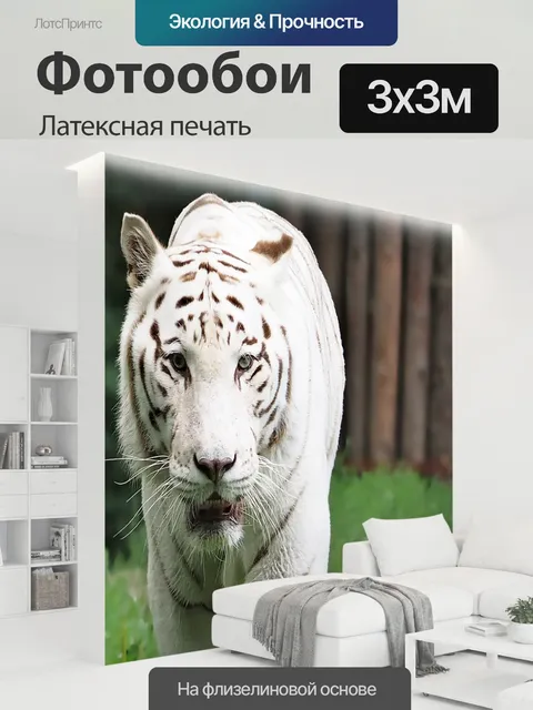 300 × 300 см · Латексная печать