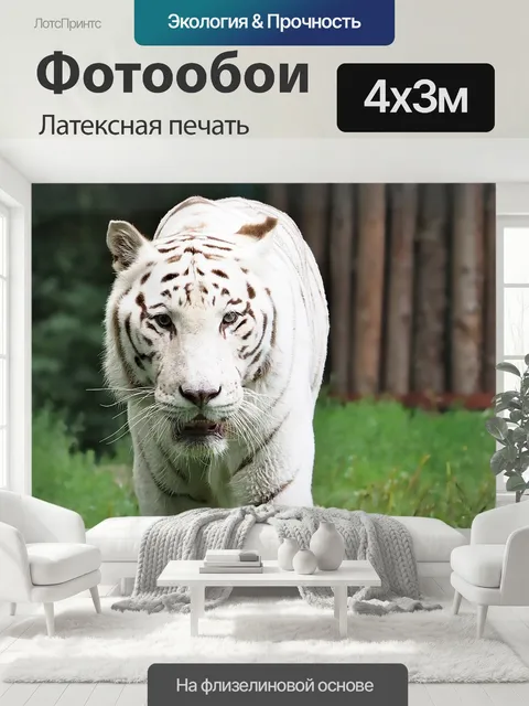 400 × 300 см · Латексная печать