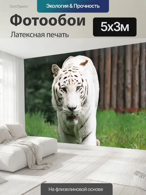 500 × 300 см · Латексная печать