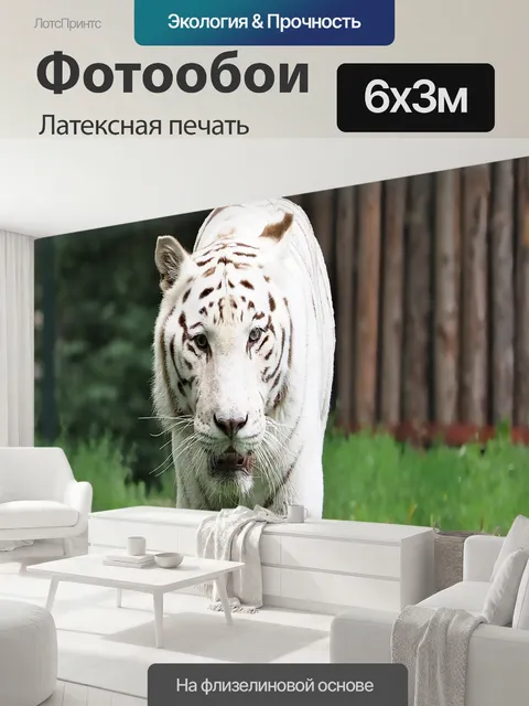 600 × 300 см · Латексная печать