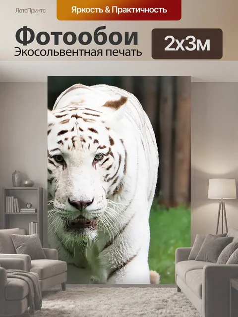 200 × 300 см · Экосольвентная печать