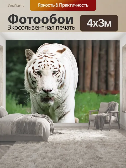 400 × 300 см · Экосольвентная печать