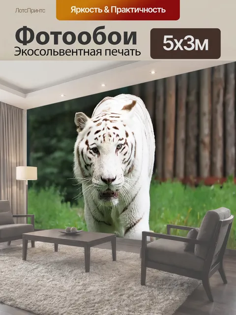 500 × 300 см · Экосольвентная печать