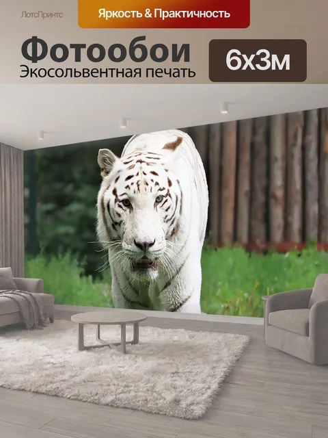 600 × 300 см · Экосольвентная печать
