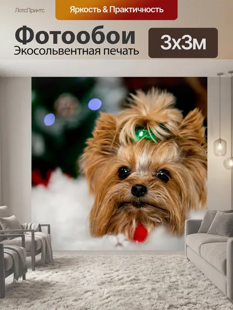 Фотообои Собака, собачий, щенок