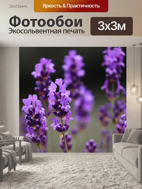 Фотообои Лаванда, фиолетовый, цветы лаванда