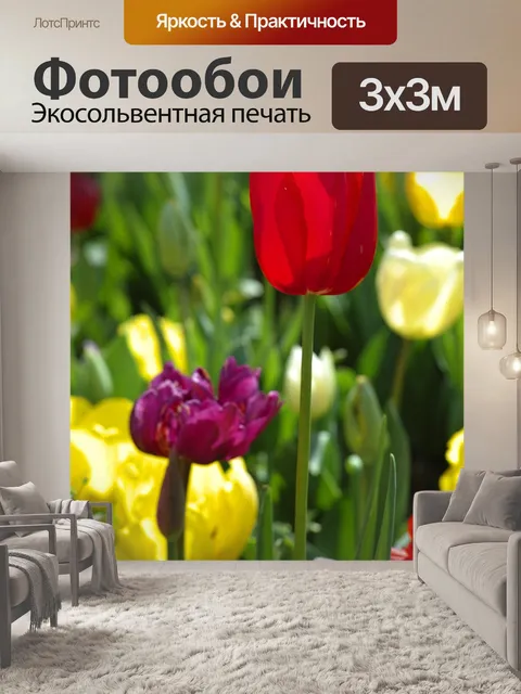 Фотообои Тюльпан, красный, желтый