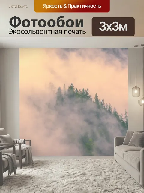 Фотообои Туман, хвойный лес, завтра