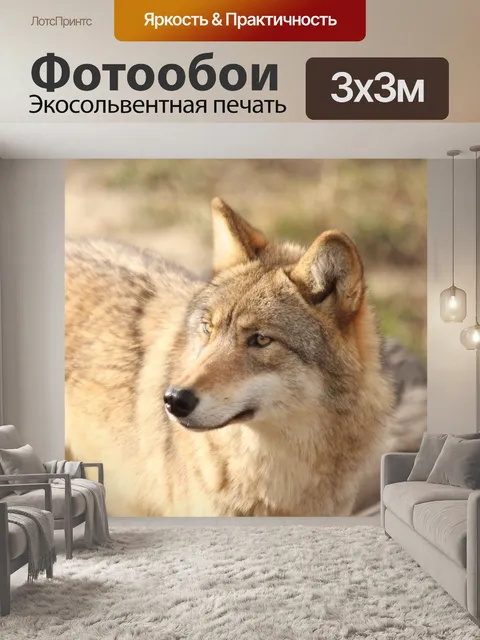 Фотообои Волк, животных, живая природа