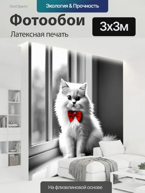 300 × 300 см · Латексная печать