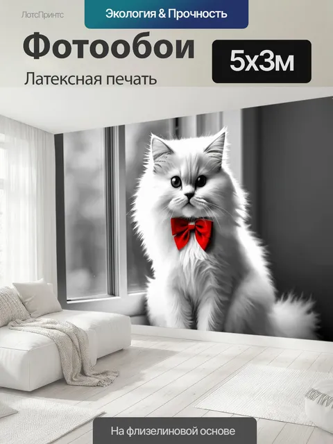 500 × 300 см · Латексная печать