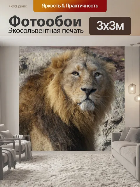 Фотообои Лев, мужской, царь зверей
