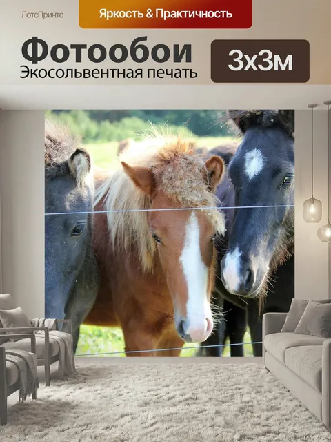 Фотообои Лошади, лошадиная голова, pferdeportrait