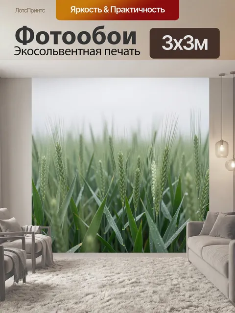 Фотообои Зеленое поле злаков с росой. Утренний сельский пейзаж с колосьями и сочной зеленью, покрытой каплями влаги. М…