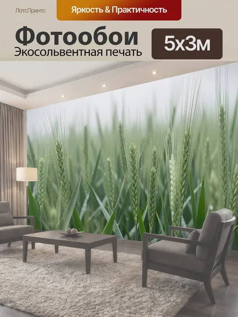 Фотообои Зеленое поле злаков с росой