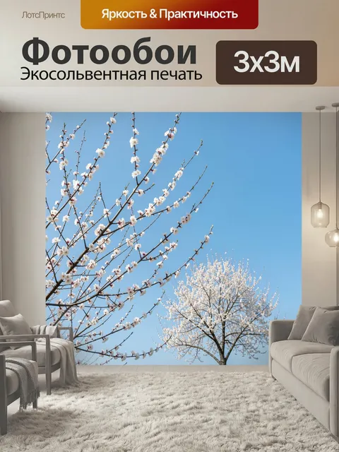 Фотообои Цветущие ветви на фоне неба. Весенний пейзаж с нежными белыми цветами на тонких ветвях, раскинутых по голубом…