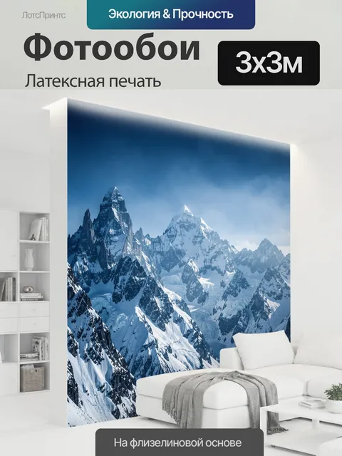 300 × 300 см · Латексная печать