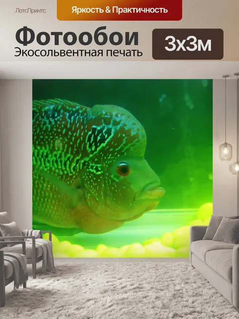 Фотообои Рыбы, зеленый, аквариум