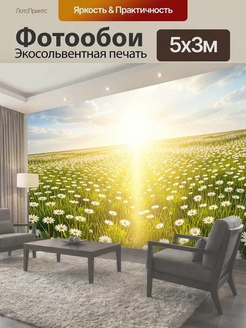 Фотообои Ромашковое поле под солнцем