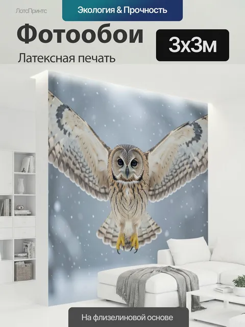 300 × 300 см · Латексная печать
