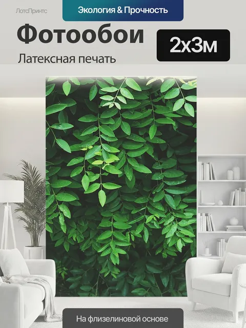 200 × 300 см · Латексная печать