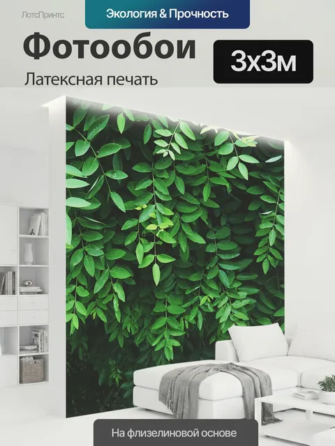 300 × 300 см · Латексная печать