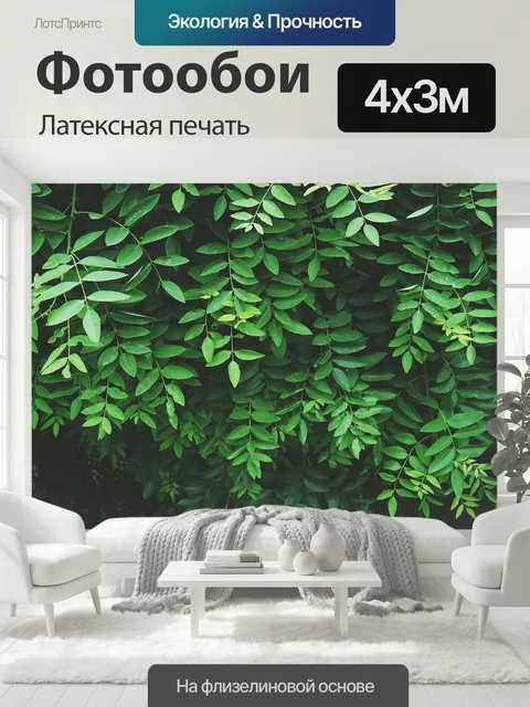 400 × 300 см · Латексная печать