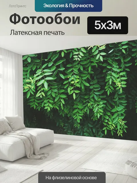 500 × 300 см · Латексная печать