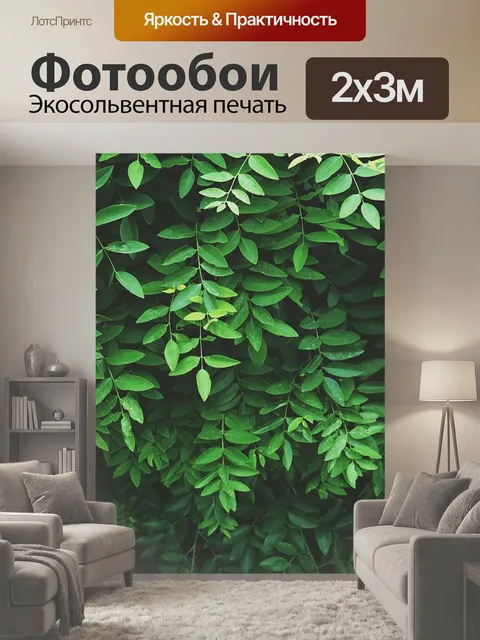 200 × 300 см · Экосольвентная печать