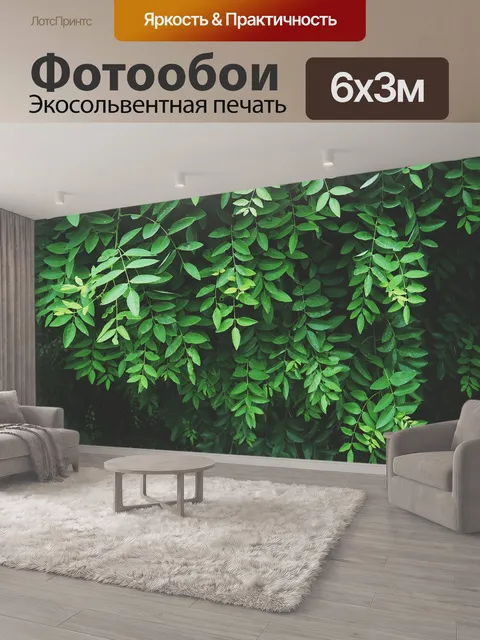 600 × 300 см · Экосольвентная печать