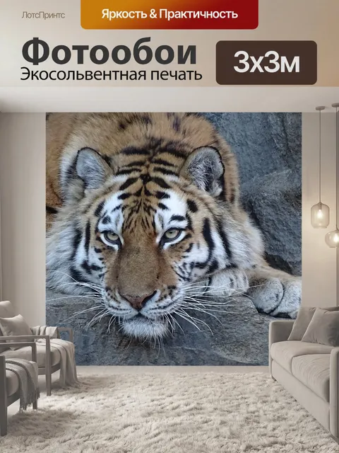 Фотообои Тигр, сибирский, хищник