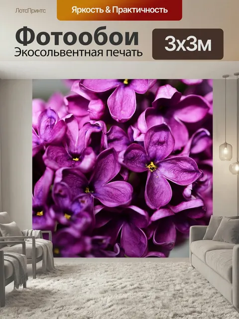 Фотообои Syringa vulgaris, фиолетовый сиреневый, сирень