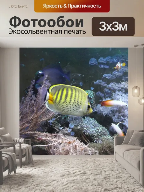Фотообои Рыбы, аквариум, животное