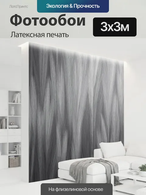 300 × 300 см · Латексная печать