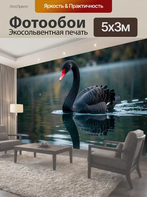 Фотообои Черный лебедь на озере